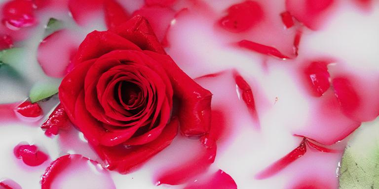 Rose Petals and milk - Get Pink Lips Naturally