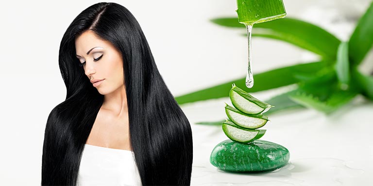 Benefits' of Aloe Vera for the Hair