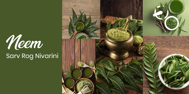 7 Incredible Benefits Of Neem Leaves You Never Knew Existed!