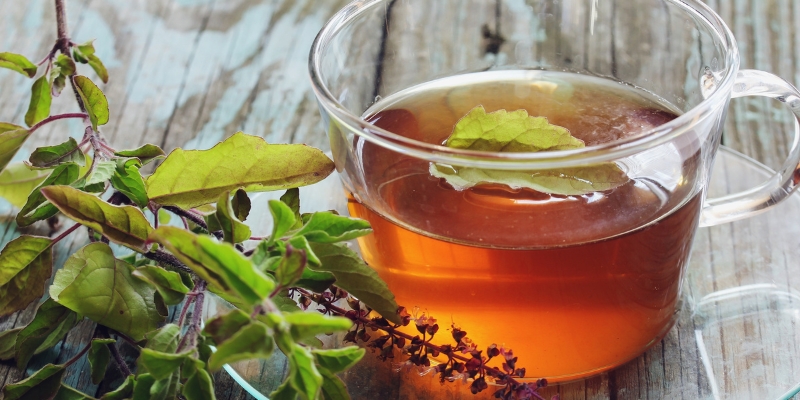 Green Tea Antioxidant Powerhouse